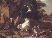 Melchior de Hondecoeter Birds and a Spaniel in a Garden (mk25) oil painting on canvas